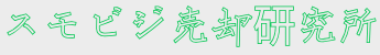 スモビジ売却研究所